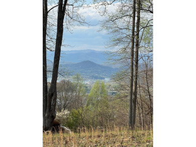 Lake Lot For Sale in Hayesville, North Carolina