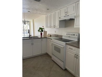 GREAT LOCATION-BEST SCHOOLS-5 MIN TO DOWNTOWN BOCA RATON- CLOSE - photo 8