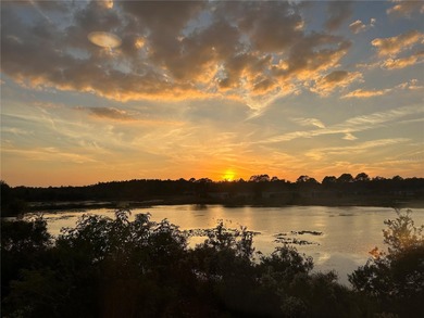 (private lake, pond, creek) Townhome/Townhouse For Sale in Tampa Florida