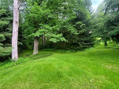 Country living on the river! This 3-bedroom, 2-bathroom ranch - photo 22