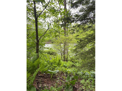 Country living on the river! This 3-bedroom, 2-bathroom ranch - photo 26