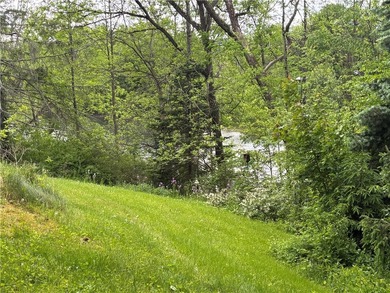 Country living on the river! This 3-bedroom, 2-bathroom ranch - photo 30