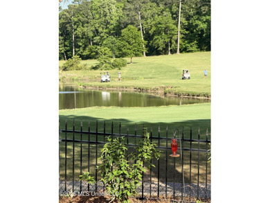 Honey, I'll be on the GOLF COURSE.......Welcome to 134 Pinnacle - photo 5