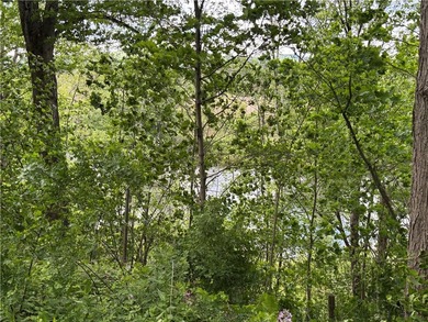 Country living on the river! This 3-bedroom, 2-bathroom ranch - photo 36