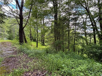 Country living on the river! This 3-bedroom, 2-bathroom ranch - photo 37