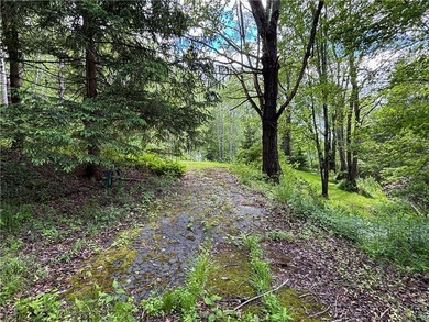 Country living on the river! This 3-bedroom, 2-bathroom ranch - photo 38