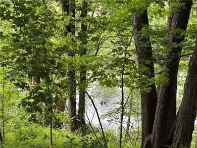 Country living on the river! This 3-bedroom, 2-bathroom ranch - photo 39