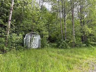 Country living on the river! This 3-bedroom, 2-bathroom ranch - photo 40