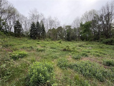 Country living on the river! This 3-bedroom, 2-bathroom ranch - photo 41