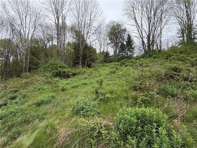 Country living on the river! This 3-bedroom, 2-bathroom ranch - photo 42