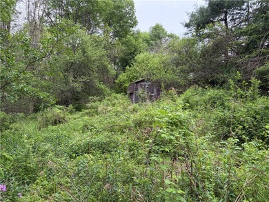 Country living on the river! This 3-bedroom, 2-bathroom ranch - photo 43