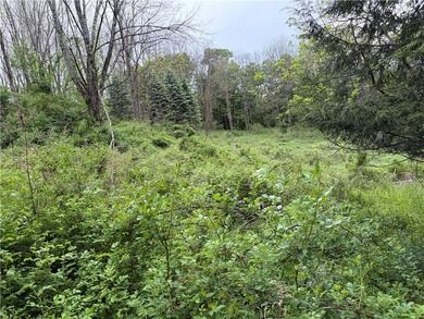 Country living on the river! This 3-bedroom, 2-bathroom ranch - photo 44