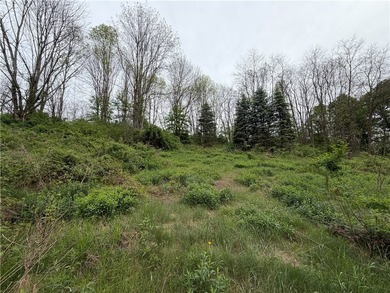 Country living on the river! This 3-bedroom, 2-bathroom ranch - photo 45