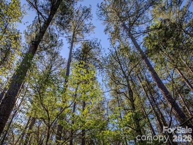 Discover the perfect place to build your dream home on this - photo 4
