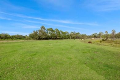 Lake Acreage Sale Pending in Odessa, Florida