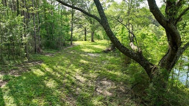 This is the ideal tract for the savvy investor/recreational - photo 2