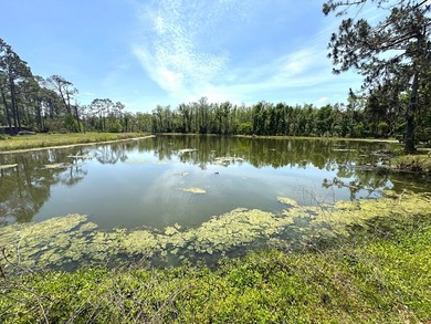 Additional listing photo 2
