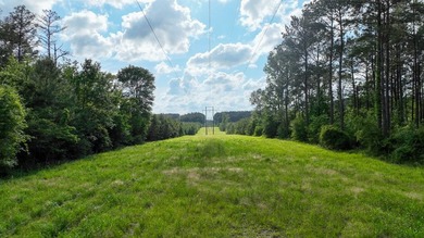 This is the ideal tract for the savvy investor/recreational - photo 6