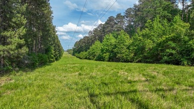 This is the ideal tract for the savvy investor/recreational - photo 8