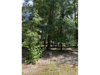 Cape Fear River Lot For Sale in Castle Hayne North Carolina