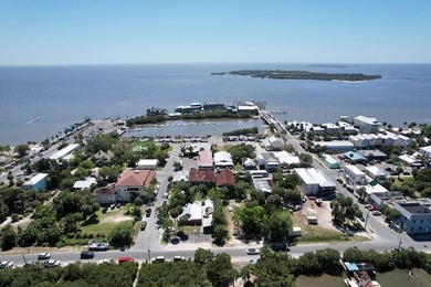 What a unique island opportunity! When do you ever get the - photo 11