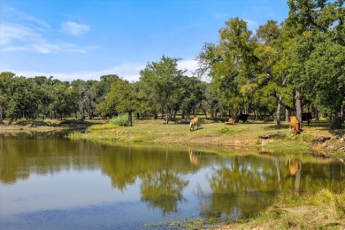 (private lake, pond, creek) Home For Sale in Lipan Texas