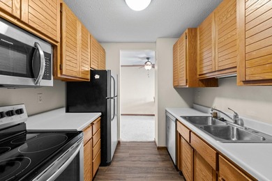 Enjoy the view of all of St. Paul & beyond our your 17th floor - photo 4