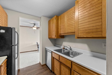 Enjoy the view of all of St. Paul & beyond our your 17th floor - photo 6