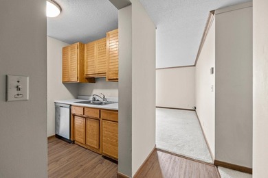 Enjoy the view of all of St. Paul & beyond our your 17th floor - photo 8