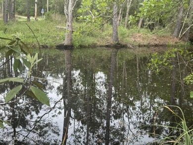 Great opportunity to purchase a large waterfront property at an - photo 5