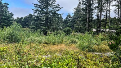 Enjoy distant ocean views from this .22-acre lot, tucked away at - photo 11