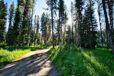 Tucked along the banks of the beautiful Secesh River, this rare - photo 15