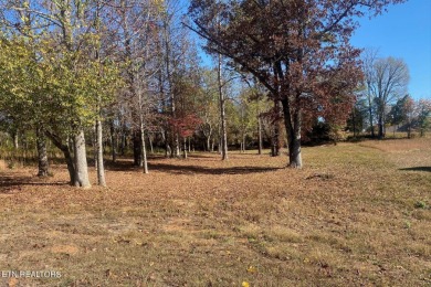 Watts Bar Lake Lot For Sale in Harriman Tennessee