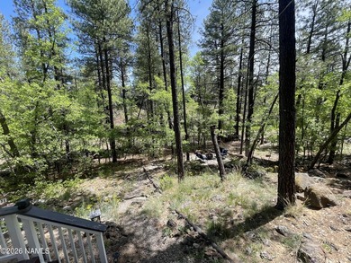 UNIQUE RARE CABIN, Welcome to the Squirrels Nest. Located on a - photo 32