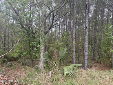 Own your own little piece of Paradise with this property at the - photo 3