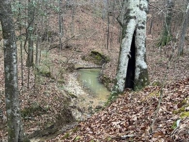 (private lake, pond, creek) Acreage For Sale in Crosby Mississippi