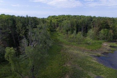 (private lake, pond, creek) Acreage For Sale in Richland Michigan