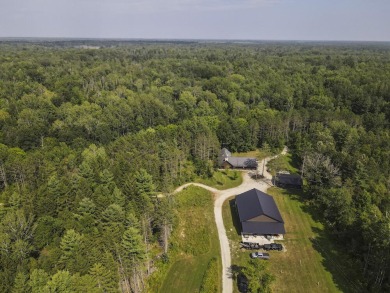 Lake Home For Sale in Hale, Michigan