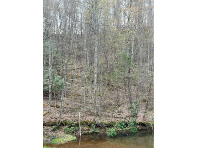 Come build your dream home on this high Elevation lot in - Lake Lot For Sale in Topton, North Carolina