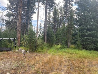Secluded backcountry retreat in beautiful Secesh with 199 FEET - photo 14