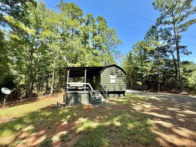 Toledo Bend Tiny Home Retreat - Your Lake Life Starts Here - photo 24