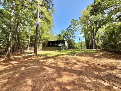 Toledo Bend Tiny Home Retreat - Your Lake Life Starts Here - photo 25