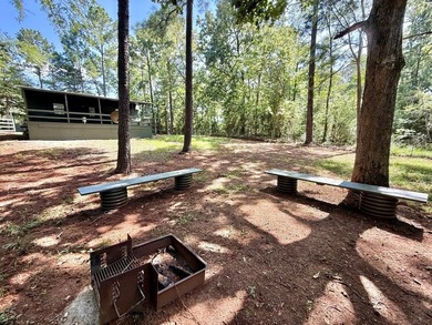 Toledo Bend Tiny Home Retreat - Your Lake Life Starts Here - photo 26