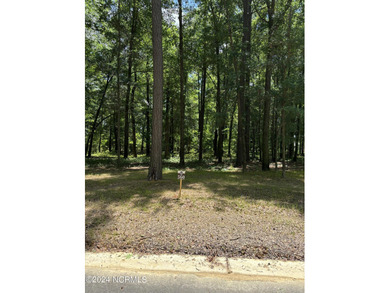 Cape Fear River Lot For Sale in Castle Hayne North Carolina