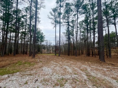 Beautiful Waterfront Lot in Marina Point Subdivision - photo 11