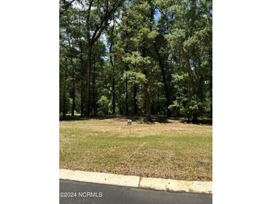 (private lake, pond, coastal) Lot For Sale in Castle Hayne North Carolina