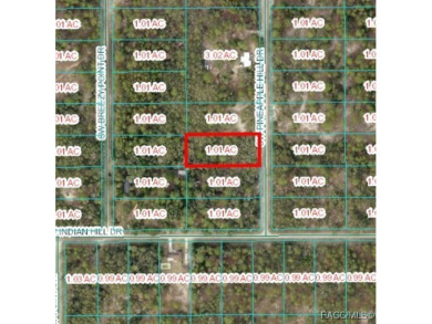 Lake Lot For Sale in Dunnellon, Florida