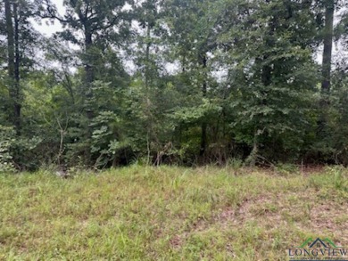 Lake Deerwood Lot For Sale in Harleton Texas