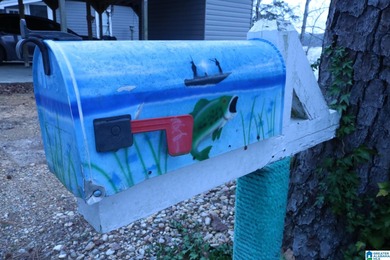 Bankhead Lake Home For Sale in Adger Alabama