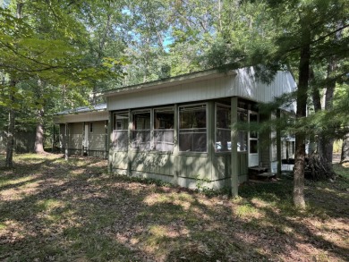 Lake Home For Sale in Irons, Michigan